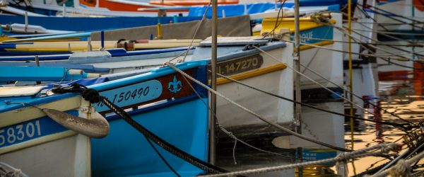 Un séminaire les pieds dans l’eau à Bandol - 1