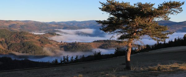 Un séminaire alliant histoire et nature en Ardèche - 1