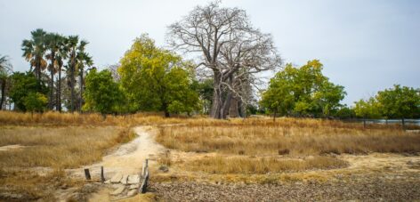 Un séminaire au Sénégal, entre culture et traditions