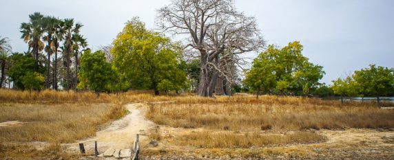 Un séminaire au Sénégal, entre culture et traditions