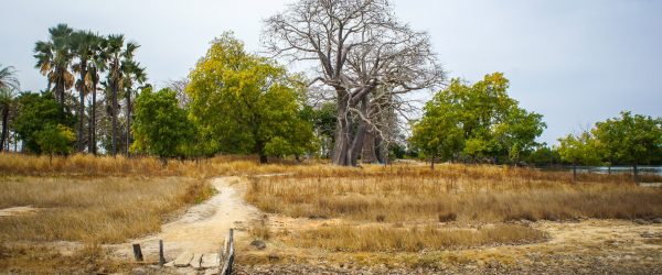 Un séminaire au Sénégal, entre culture et traditions - 1