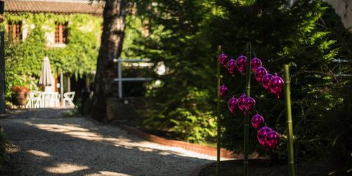 Un séminaire en bord de rivière à Valence - 1