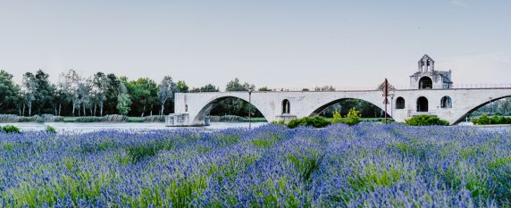 Un séminaire à Avignon, au cœur de la Cité des Papes