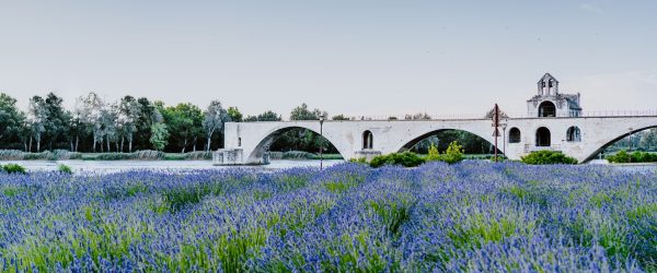 Un séminaire à Avignon, au cœur de la Cité des Papes - 1