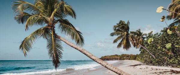 Un séminaire dépaysant aux senteurs tropicales en Martinique - 1