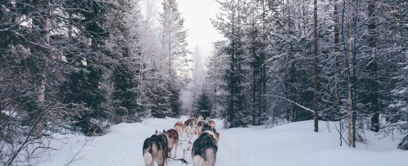 Un séminaire sur le cercle polaire, en Laponie Finlandaise