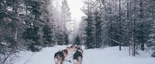 Un séminaire sur le cercle polaire, en Laponie Finlandaise - 1