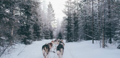 Un séminaire sur le cercle polaire, en Laponie Finlandaise