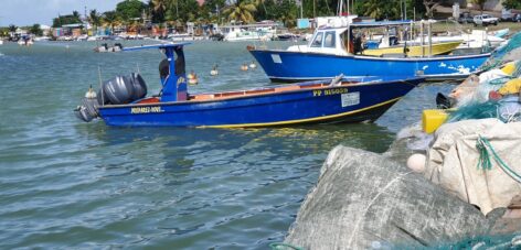 Un séminaire riche en couleurs en Guadeloupe