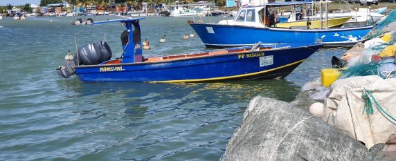Un séminaire riche en couleurs en Guadeloupe