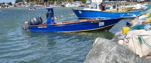 Un séminaire riche en couleurs en Guadeloupe - 1