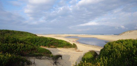 Un séminaire entre plage et forêt à Moliets