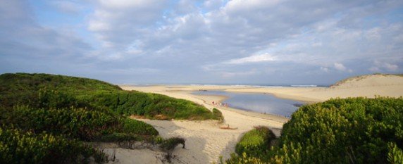 Un séminaire entre plage et forêt à Moliets