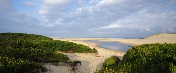 Un séminaire entre plage et forêt à Moliets - 1