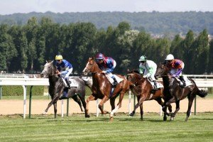 Courses chevaux deauville