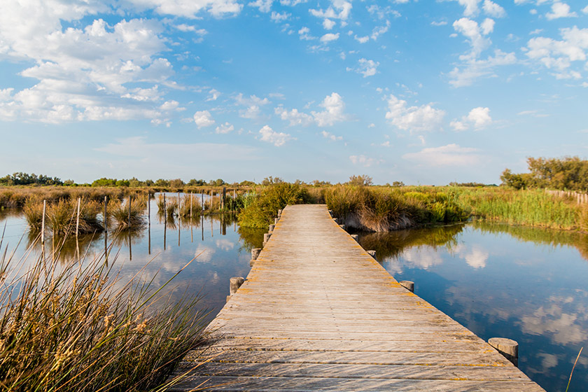 incentive petit prix camargue