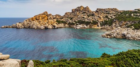 corse tourisme affaires