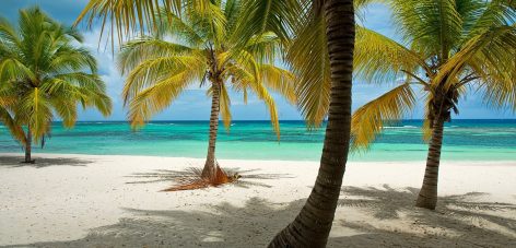 Séminaire d’entreprise professionnel Punta Cana