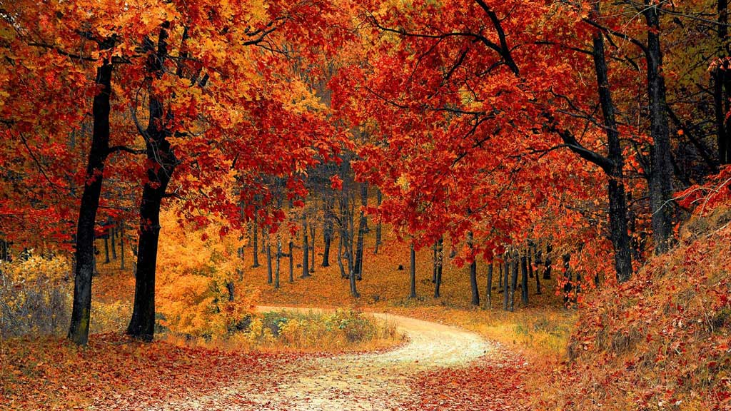 Rambouillet, un écrin de nature