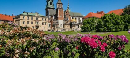 Balade immersive parc cracovie