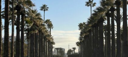 parc ligue arabe Casablanca Maroc